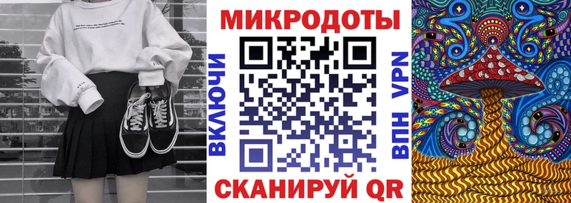 как найти   Ревда  Галлюциногенные грибы Psilocybe 